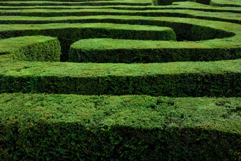 Labyrinth aus Hecken