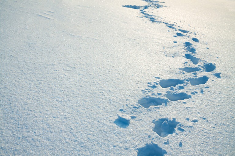 Spuren im Schnee