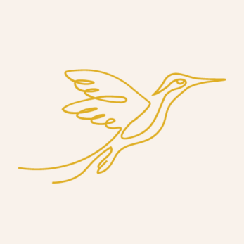 Gezeichneter Kolibri